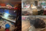 Phát hiện 3 đứa trẻ sống trong ngôi nhà ngập rác với 245 con vật