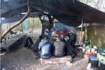 13 người Việt phục trong rừng ở Pháp chờ nhập lậu vào Anh: Sợ chết nhưng không thể dừng lại
