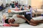 Quá tải do sốt xuất huyết, hành lang thành phòng bệnh viện