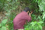 Thợ săn bắn nhầm người cùng làng vì tưởng là khỉ