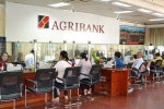 Lãi suất ngân hàng Agribank mới nhất tháng 11/2019: Lãi cao nhất ở các kì hạn từ 12 tháng trở lên