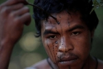 Brazil bảo vệ thổ dân khỏi lâm tặc