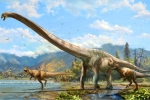 Vẫn còn một loài khủng long tồn tại đến ngày nay