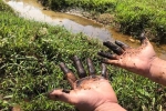 Bùn thải đen kịt, nghi nhiễm dầu ở cửa súc xả bể chứa nước sông Đà