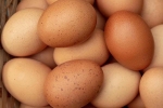 Chết tức tưởi khi cố ăn 50 quả trứng 