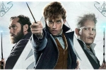 Phần 3 loạt ngoại truyện Harry Potter sắp khởi quay