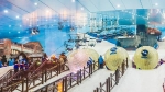 Sắp có nhà tuyết lớn thứ 3 thế giới ở vùng sa thảo Ninh Thuận