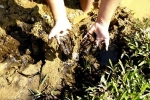 Suối Đồng Bãi đầy 'bùn đen' vì Viwasupco xả nước thải