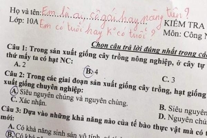 Học sinh quên ghi tên trong bài kiểm tra, thầy giáo lại nhắc khéo bằng dòng thơ ngọt ngào khiến dân mạng thả 'triệu like'