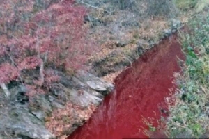 Dòng sông gần biên giới liên Triều đỏ quạch máu