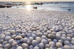 Giải mã bí ẩn: Lý giải hiện tượng hiếm gặp hàng ngàn 'quả trứng băng' nằm trên bờ biển
