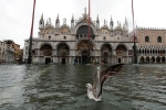 Venice 'thất thủ' vì trận lụt tồi tệ nhất trong nửa thế kỷ