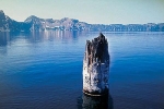 Bí ẩn khúc gỗ nổi thẳng đứng 120 năm trên hồ