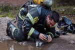 Lính cứu hỏa tiếp oxy cứu mèo ngạt khí