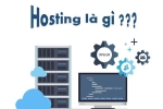 Hosting là gì? Nên dùng hosting miễn phí hay trả phí?
