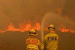 Tình nguyện viên cứu hỏa bị tố đốt rừng