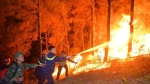 Lục Nam (Bắc Giang): : Xảy ra cháy rừng gây thi.ệt hại CỰC LỚN