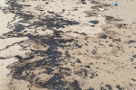Hơn 3 km bờ biển bị ô nhiễm dầu loang