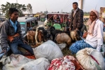 Tín đồ Hindu đổ về lễ hội hiến tế động vật lớn nhất thế giới ở Nepal