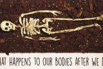 Cơ thể còn lại gì sau khi chết 100 năm?