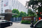 Kết luận điều tra vụ học sinh Trường Gateway tử vong: Vì sao hiệu trưởng thoát trách nhiệm?