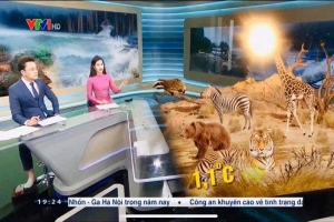 Biên tập viên Hữu Bằng lộ ảnh đi chân đất trên sóng truyền hình