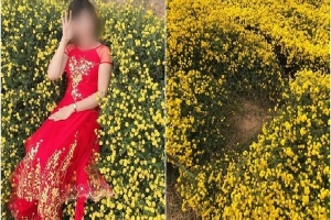 Hình ảnh cô gái nằm ngả ngớn thẳng luống hoa cúc để chụp ảnh khiến dân mạng 'nóng mắt': Duyên đến thế là cùng!