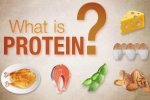 Protein là gì? Mách bạn thực phẩm giàu protein vẫn có thể giảm cân?