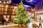 Vì sao cây thông trở thành biểu tượng của Giáng sinh?