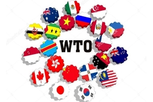 WTO là gì? Gia nhập WTO Việt Nam được lợi gì?