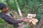 Bắt quả tang 6 đối tượng khai thác gỗ trái phép