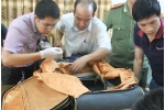 Nữ tiếp viên Vietnam Airlines bị tạm giữ, nghi buôn hàng lậu từ Nhật về