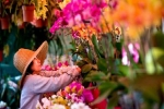 Người Việt ở Mỹ mở chợ hoa Tết