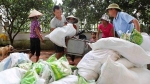 Khánh Hòa hỗ trợ hơn 870 tấn gạo cho người dân khó khăn trong dịp Tết