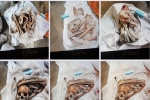 Vụ 9 bộ xương người ở Tây Ninh: Tiết lộ kinh hoàng chuyện bán xương cốt