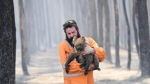 Không phải chỉ 500 triệu mà tới 1,25 tỷ động vật chết do cháy rừng ở Australia