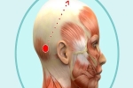Bài mát xa đầu giúp trẻ hóa toàn bộ khuôn mặt, lưu thông khí huyết và ngăn ngừa bệnh tật