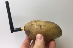 Củ khoai tây thông minh là 'thiết bị' kỳ lạ nhất tại CES 2020