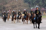 Hơn 100 con ngựa Mông Cổ được cảnh sát cơ động thuần dưỡng
