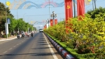Dải phân cách mai vàng dài 5km tại Bà Rịa – Vũng Tàu độc nhất vô nhị ở Việt Nam