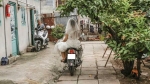 Hình ảnh chú rể chạy xe máy cũ rước dâu từ xóm trọnghèo gây xúc động