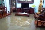 Hải Phòng, Nam Định ngập nước sau trận mưa lớn ngày đầu năm