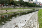 Sông Tô Lịch ngập rác 3 ngày Tết: Rõ sự thật!
