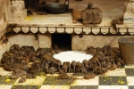 Bên trong đền thiêng có 25.000 con chuột