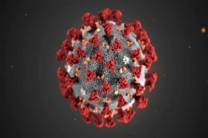 Nóng: Nhật Bản cô lập thành công virus corona mới