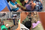 Cha mẹ Tuấn 'Khỉ' đổ bệnh khi hay tin con bắn chết 5 người