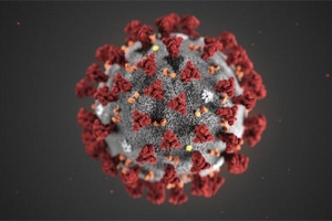 Lây kín, truyền nhanh - virus corona mới gây khó khăn cho kiểm dịch