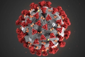 Đặc tính nguy hiểm của virus corona: Người khỏi bệnh vẫn phải cảnh giác