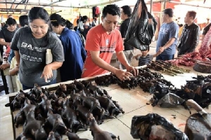 Chợ thú nổi tiếng Indonesia ngừng bán thịt dơi vì lo sợ virus corona