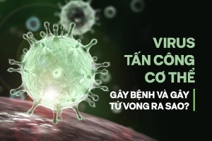 Virus làm gì sau khi vào cơ thể? Chi tiết về những cuộc 'đấu tranh sống còn' với con người